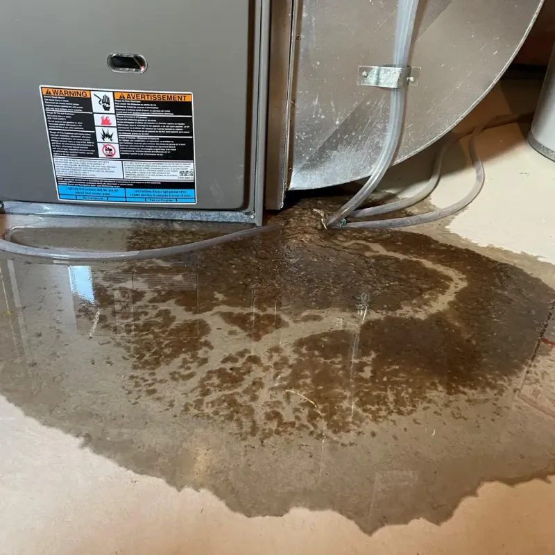 Appliance Leak Cleanup in Sneads Ferry, NC